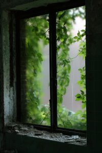 IMG_5686